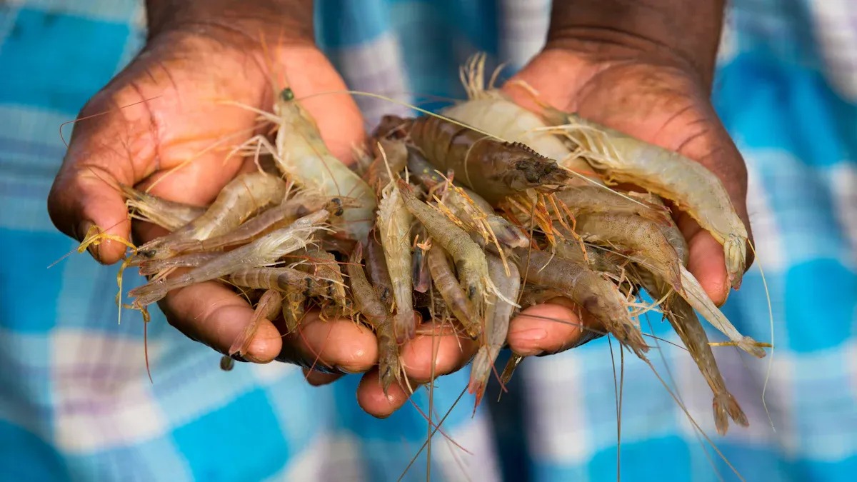 shrimp.jpg