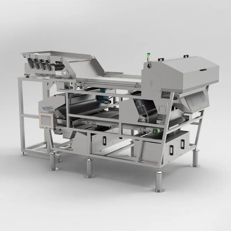 AI Double-Layer Optical Sorter for High Capacity Sorting